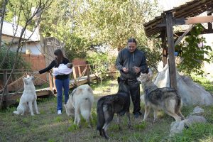 lobos en familia 01